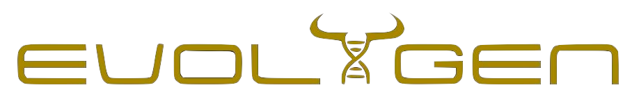 EVOLYGEN