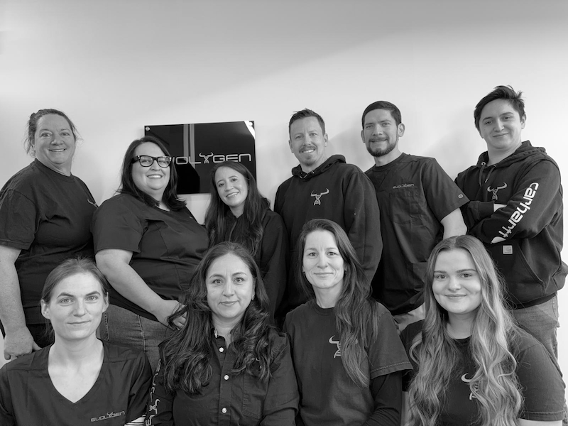 Evolygen Team